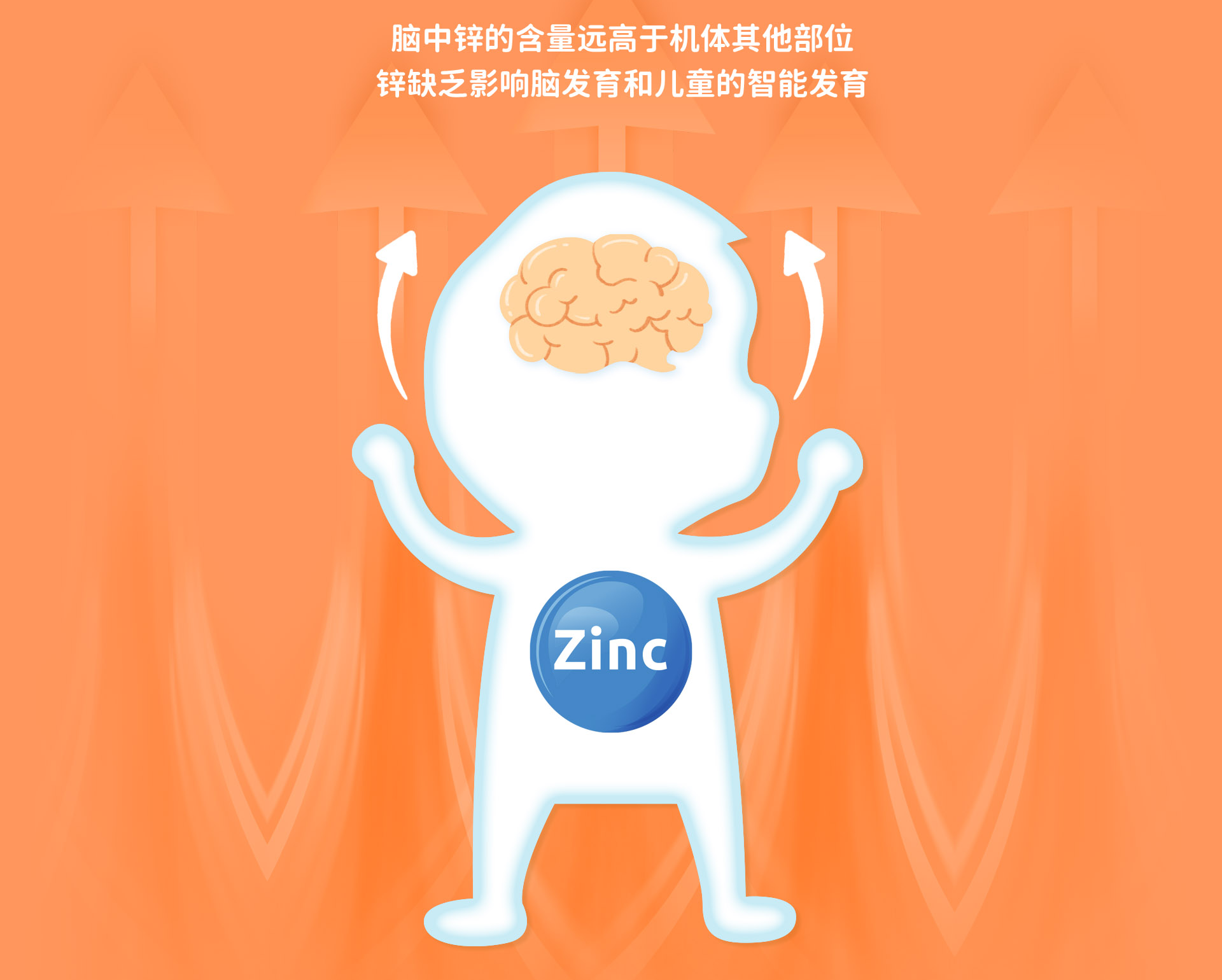 新品锌_09.png