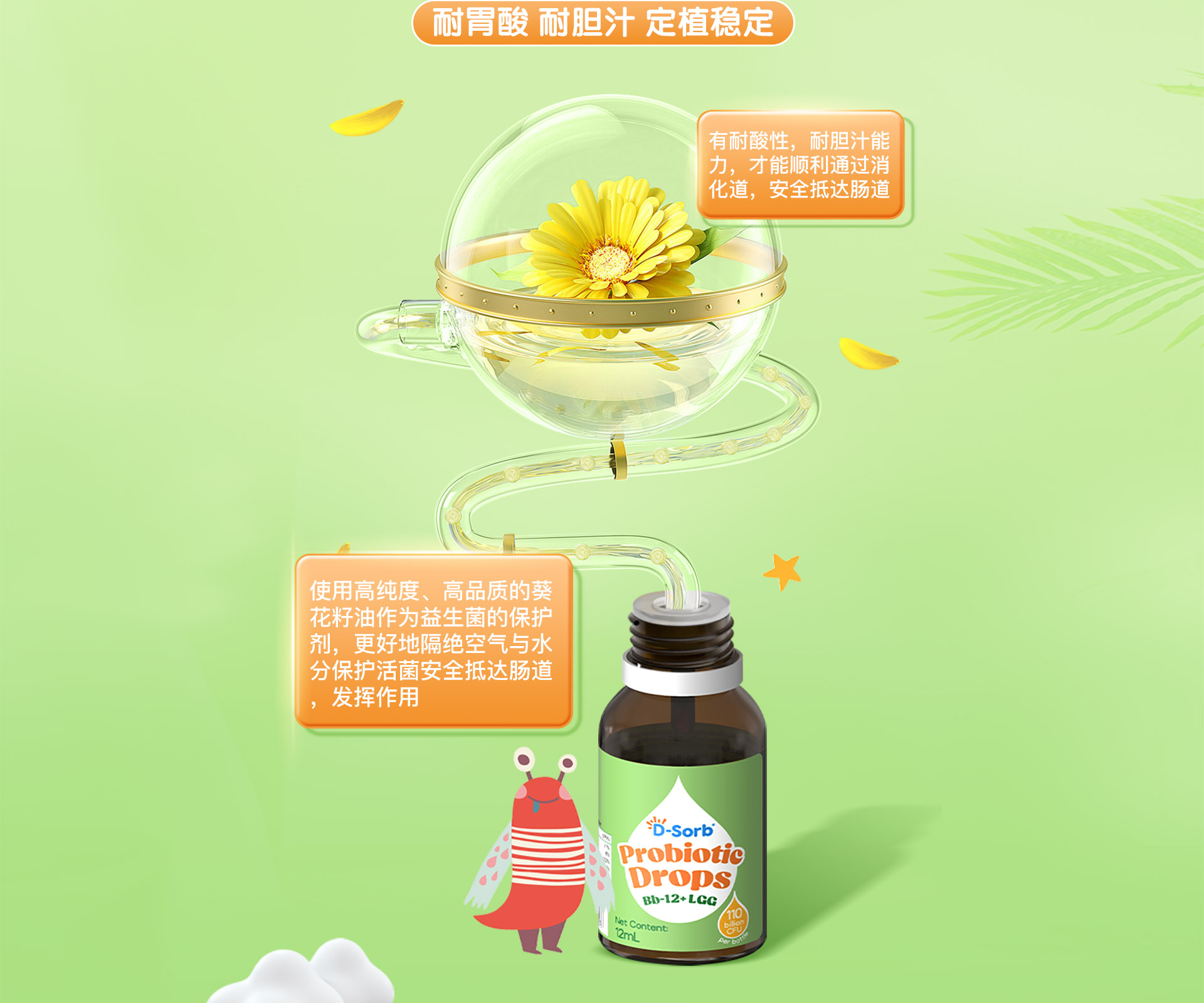 益生菌Bb-12+LGG_06.png